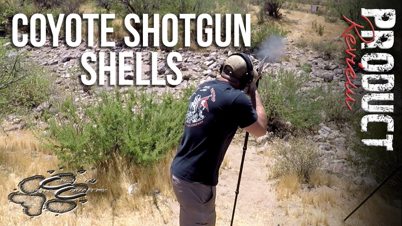 CIC Reviews Best Coyote Shotgun Shell YouTube