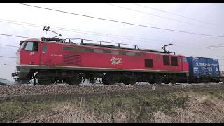 EF510-14牽引高速貨物【4K】信越本線下り4095ﾚ