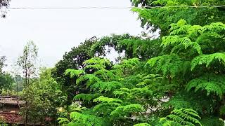 First camera hd cinametic for more subscribe 