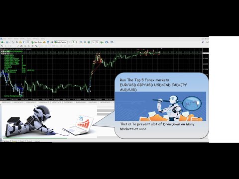 Forex Identity Expert Advisor MT4 Auto-Trading (free-Access)