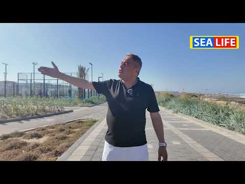 Спортивные площадки под открытым небом в Sea Breeze: теннис, футбол, баскетбол и не только!