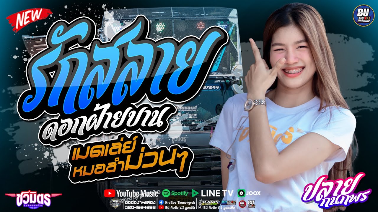 เมดเล่ย์หมอลำม่วนๆ🌟 รักสลายดอกฝ้ายบาน + มักอ้ายผิดไผบ่ + ใจหล่นที่หน้าฮ้าน - ปลาย กนกพร #รถแห่ชวมิตร