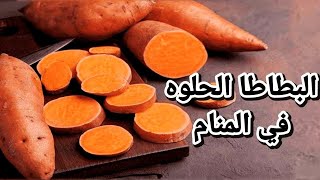 تفسير حلم رؤية البطاطا في المنام ما معني رؤية البطاطا الحلوة في المنام |تفسير الاحلام فاطمة الزهراء