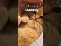 #цитаты #мудрость #мудро #топвидос #топ