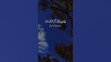 قرآن كريم#تلاوة#آيات