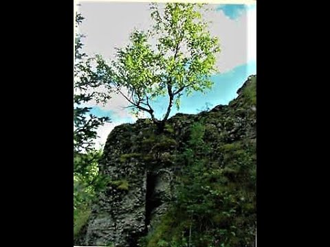 Притча про життя | Ryfma