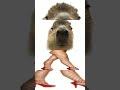пожалуй моё лучшее видео #люблюфоторедактор #иринатоп