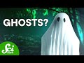 Things That Go Bump in Your Brain: 4 Scientific Explanations for Ghosts