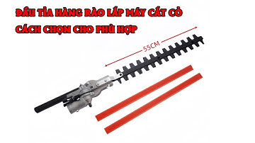 Đầu tỉa hàng rào lắp máy cắt cỏ, cách chọn đầu tỉa sao cho hợp với máy cắt cỏ