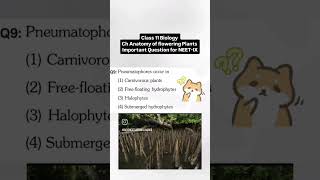 MCQ Biology NEET ##neetpreparation #pyqs #mcqs #objective #objective biology questions #biology #pyq