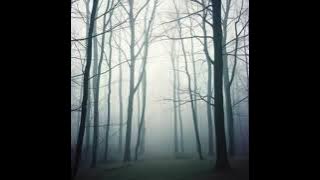 2025 m. spalio 17 d.