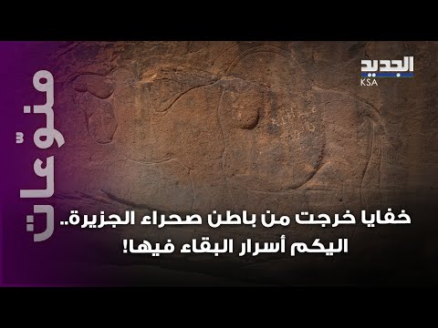 كنز في صحراء الجزيرة يكشف أسرار البقاء فيها ومخطوطات تعود الى 12 ألف عام