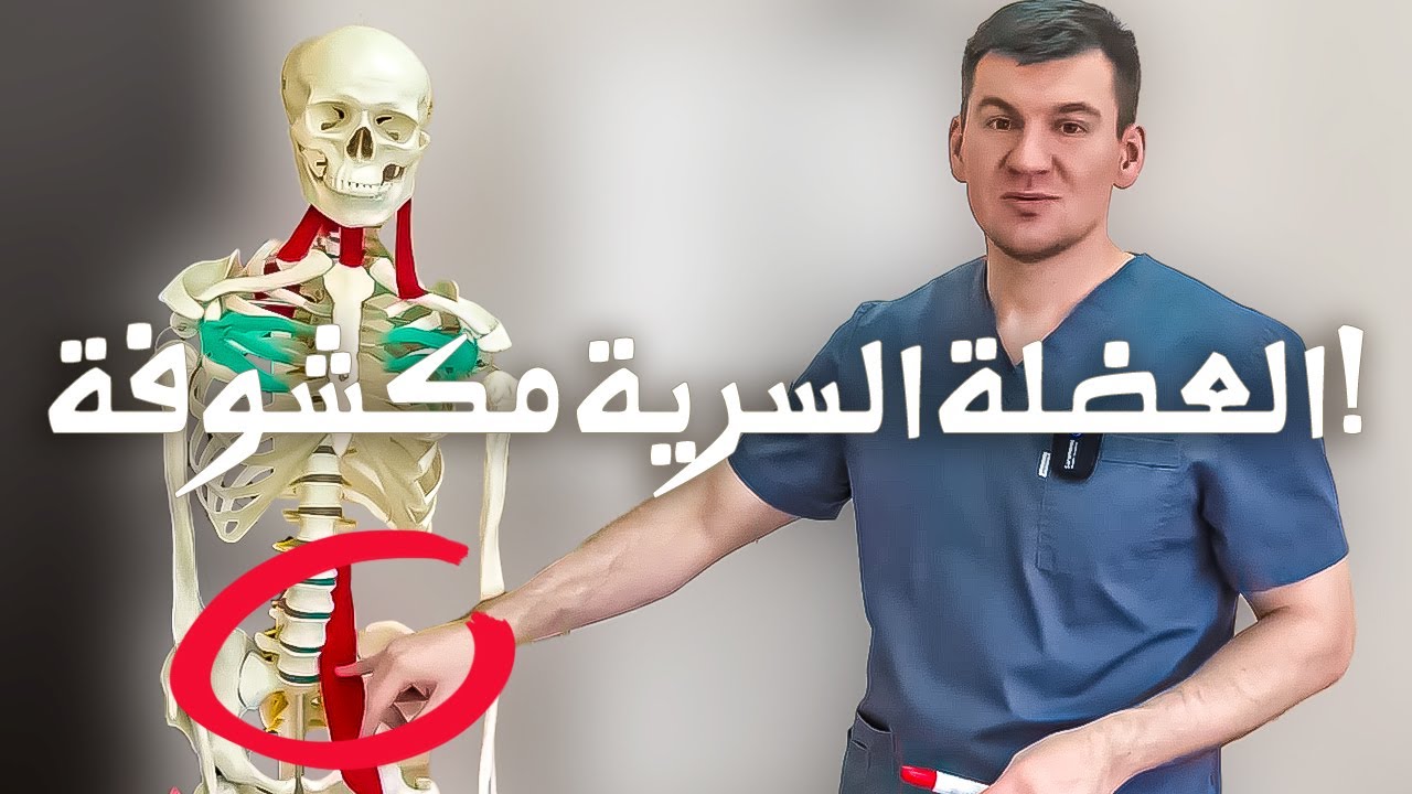 أهم عضلة في الجسم. اكتشفها علماء الاتحاد السوفيتي وتم إخفاؤها لمدة 120 سنة.