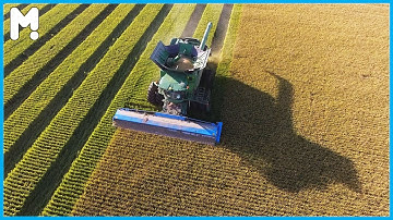 🌾 How Rice is Grown in the USA | Modern American Rice Farming and Harvesting Million Tons of Rice