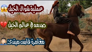 # فلوق (38) عمليه جراحيّه ترفع ذيل الحصان🤦💉 | لايجوز ف عالم الخيل