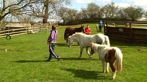 Michelle Elder on the  Warrior Programme