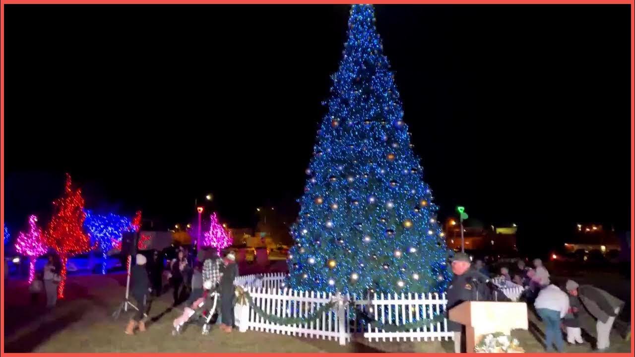 2023 PMS Festival of Trees & Christmas Tree Lighting. YouTube