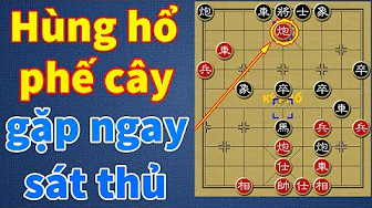 Hùng hổ phế cây thì trúng ngay sát thủ - Vương Thiên Nhất vs Vũ Tuấn Cường thumbnail