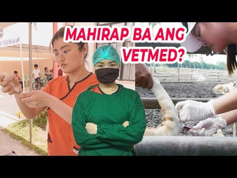 Video: Nangungunang 6 Mga Suplemento Na Inirerekumenda Ng Vet Sa Pagsasagawa Ng Vet