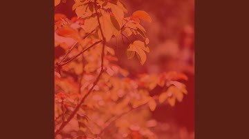 Breathtaking Backdrops for Unwinding from Work