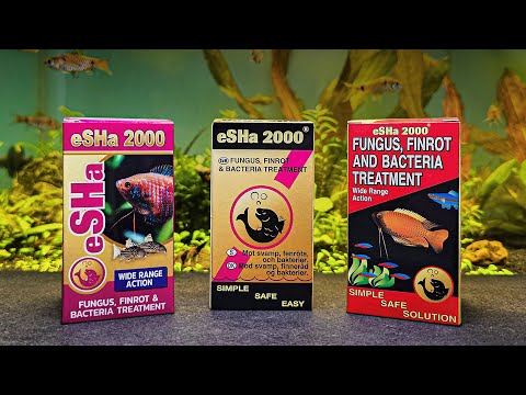 eSHa 2000 • Product information • Everything You Need to Know 