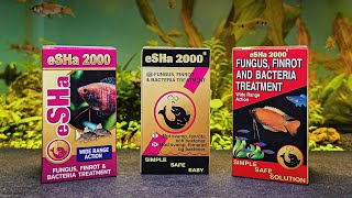 Esha 2000 Product Information Everything You Need To Know
