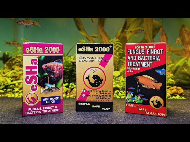 eSHa 2000 • Powerful Fungus, Finrot & Bacteria Treatment