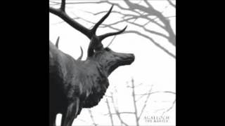 Video thumbnail of "Agalloch - In the Shadow of Our Pale Companion"