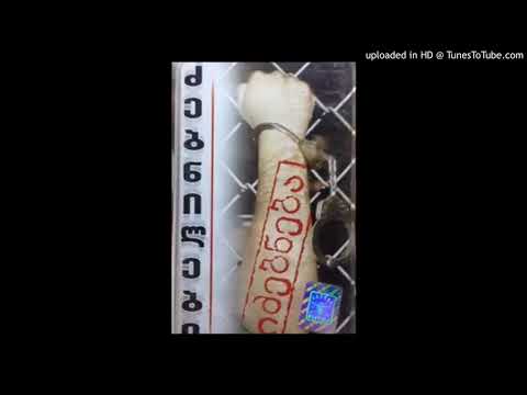 ძებნილთა კლანი - ძებნილი