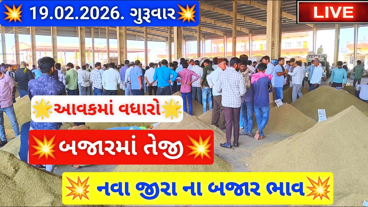 🔴live નવા જીરા ના બજાર ભાવ આજના જસદણ માર્કેટિંગ યાર્ડ, jeera auction price today,February 19, 2026