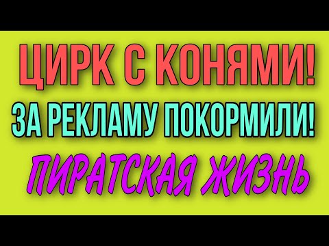 ЦИРК С КОНЯМИ!