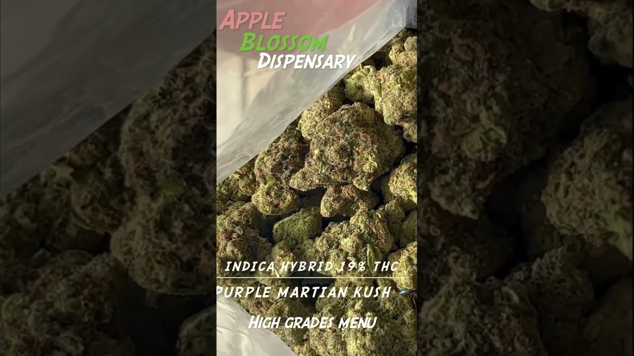Purple Martian Kush