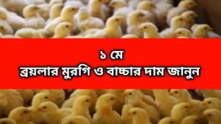 ১ মে ২০২৬ ❤️ আজকের ব্রয়লার সুনালি কালারবাড মুরগি ও বাচ্চার দাম জানুন
