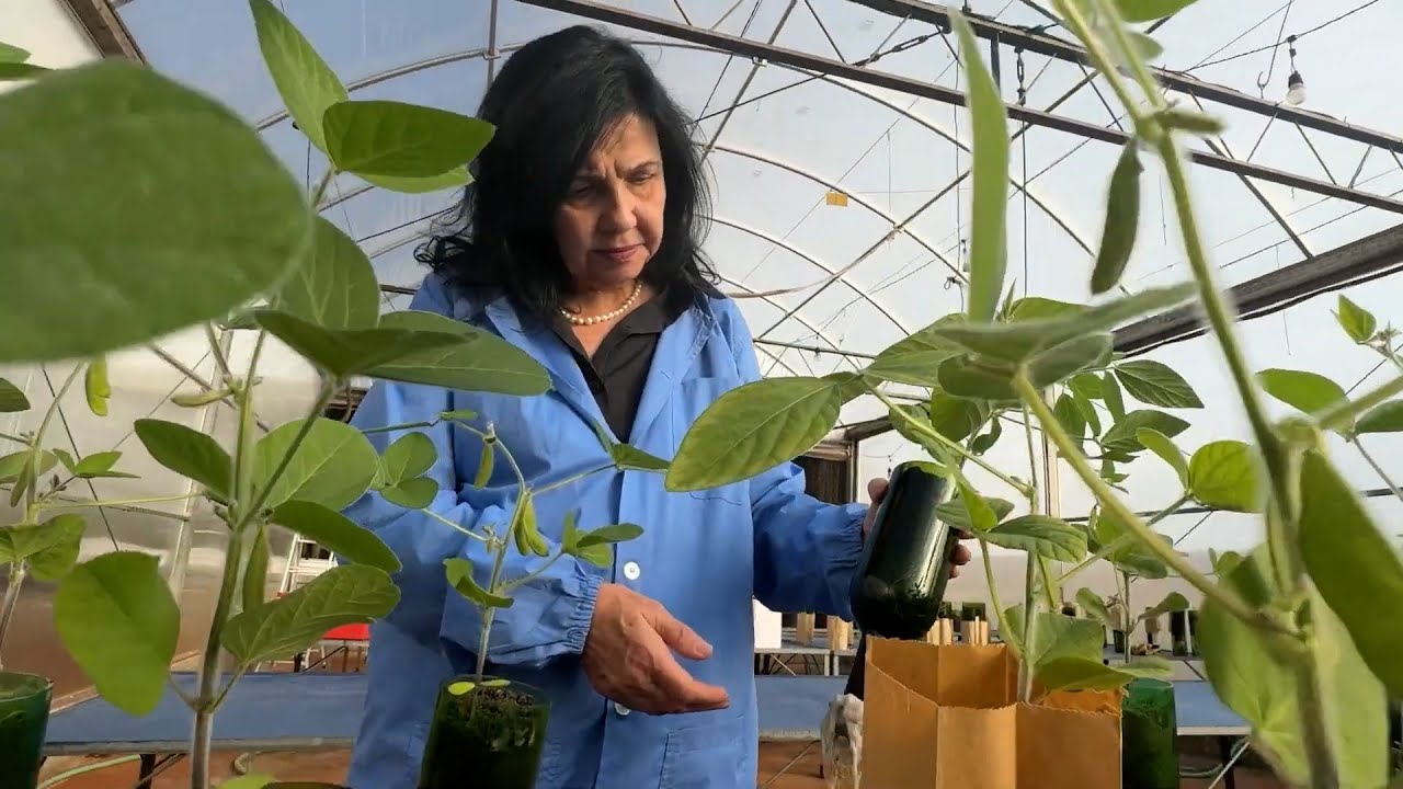 Исследователь азота получил Всемирную продовольственную премию