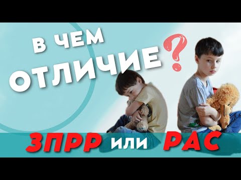 Видео: Маленькая леди с липучкой не замечена в течение нескольких месяцев в приюте