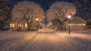 Extreme blizzard and howling wind ASMR sounds | Fierce Snowstorm - Nature Sounds for Deep Sleep