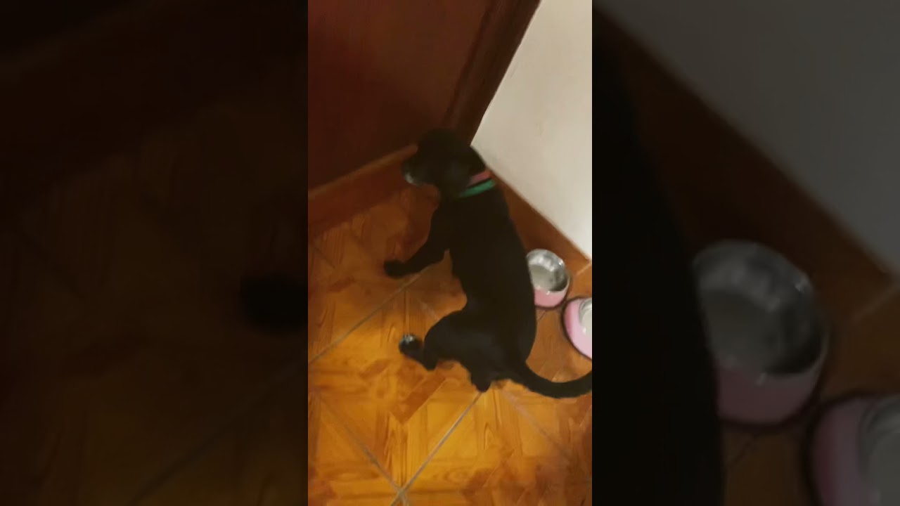 26 de diciembre de 2021