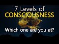 7 levels of consciousness  which one are you at