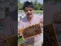 benedict is at his Apiary inspecting if the honey combs are ready for harvesting honey