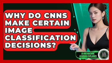 Why Do CNNs Make Certain Image Classification Decisions? - AI and Machine Learning Explained