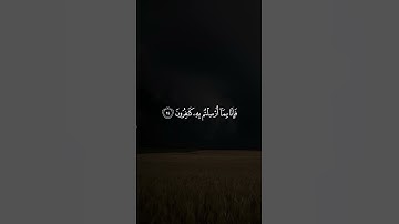 سورة فصلت - القارئ سعود الفايز #quran #المصحف #قرآن