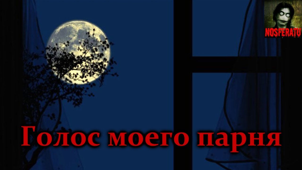 Голоса в ночи читать. Страшные истории голосовые. Ночные голоса.