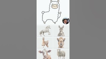 Only 1% Can Guess This Animal! 😲 #shorts