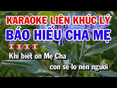 Karaoke Báo Hiếu Cha Mẹ | Vọng Kim Lang | Phi Vân Điệp Khúc | Đoản Khúc Lam Giang