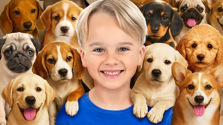 Kids Take Care of Animals at the Shelter - funny stories for kids