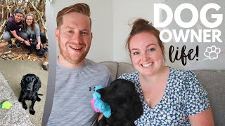 Dog Lessons We've Learnt (so far!)  1st Month With Cocker Spaniel   New Dog Owner Experience!