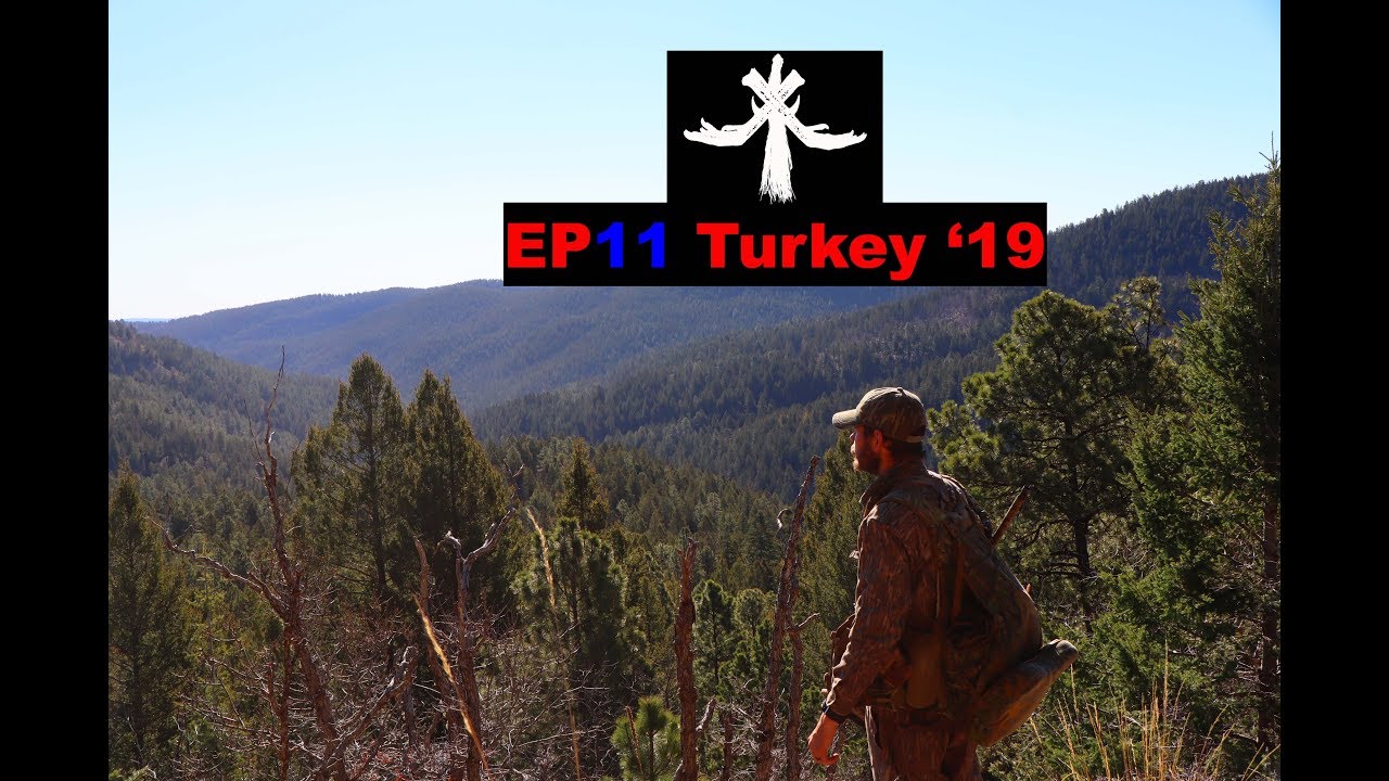 TURKEY HUNTING NEW MEXICO MERRIAM'S IN THE SNOW! YouTube