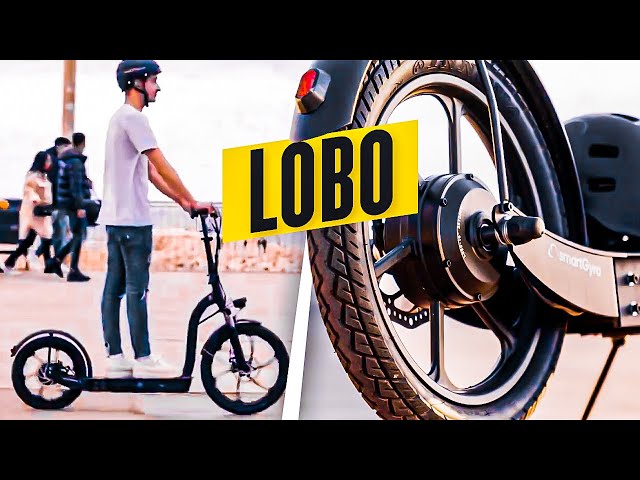 Patinete eléctrico smartgyro Lobo