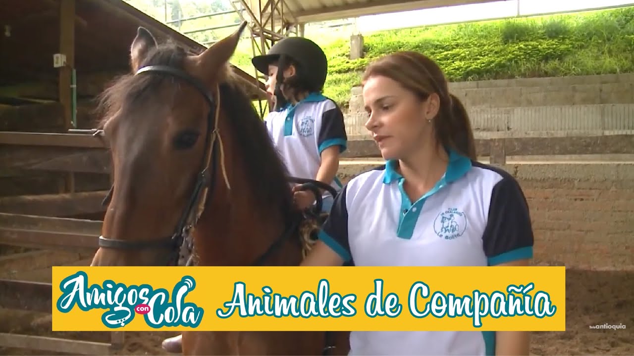 #AmigosConCola, Animales de compañía, Capítulo 10 - Teleantioquia