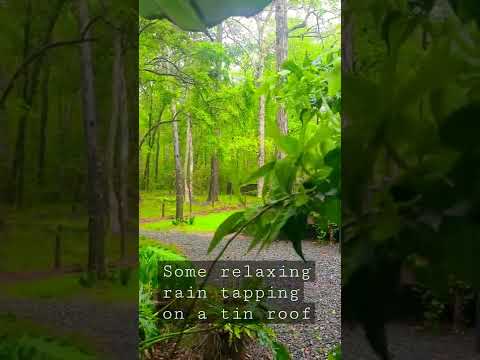 Relaxing Rain Tapping on a Tin Roof ♡ Longshot ASMR